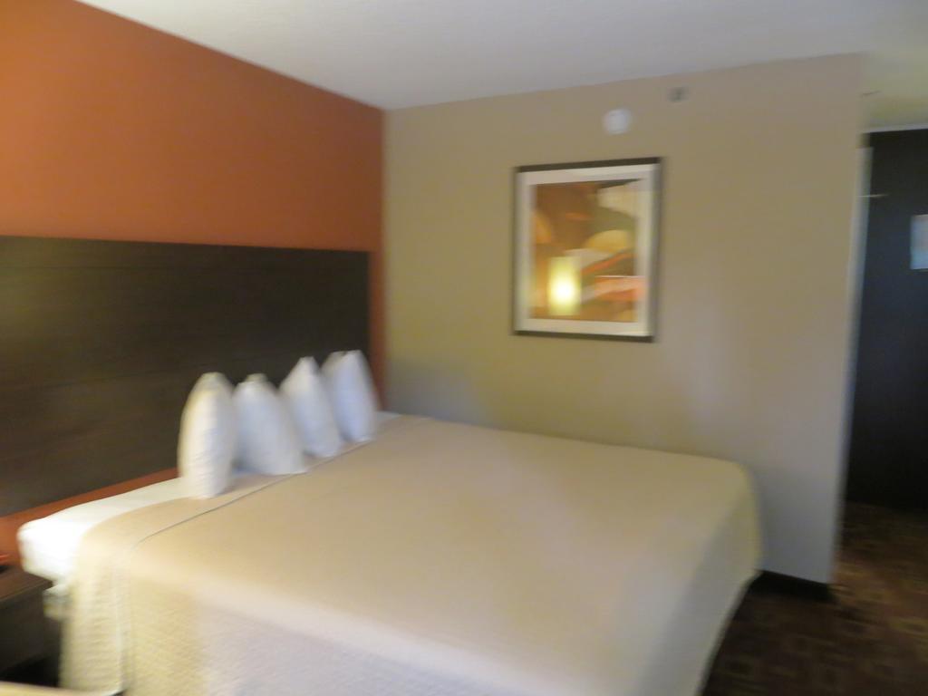 University Inn Austin North Bilik gambar