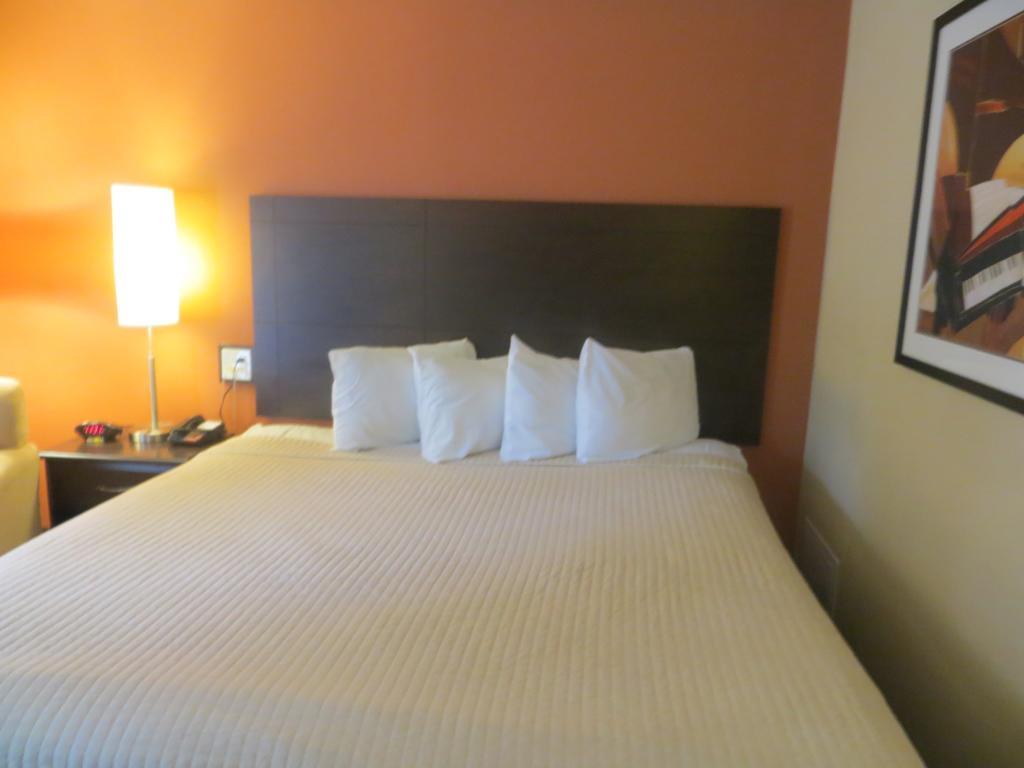 University Inn Austin North Bilik gambar